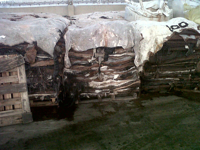 Horse hides from Argentina Horse hides from Argentina